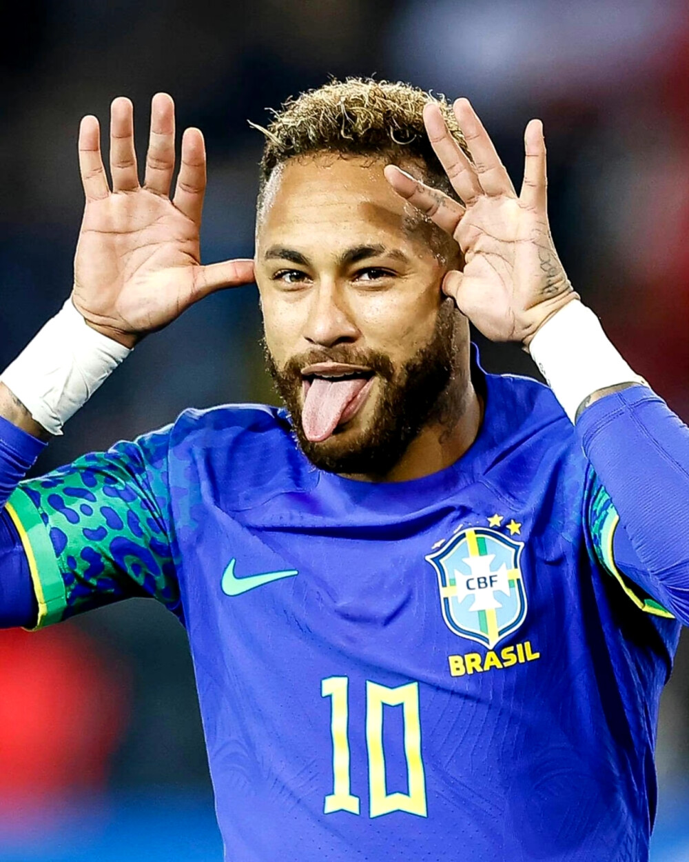 日依赖明星 日依赖明星