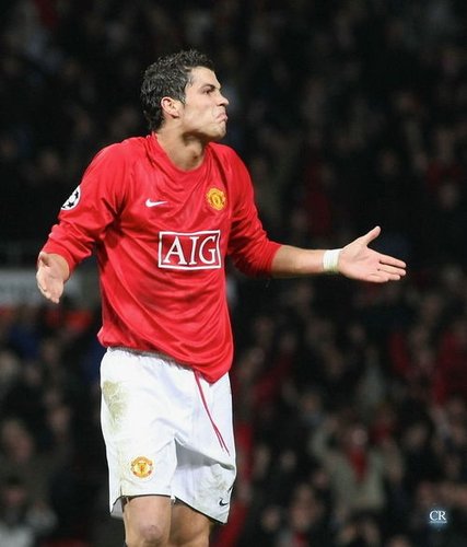 长期极易蚕 长期极易蚕